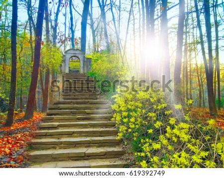 Digital composite image of stairway to a gate in a forest