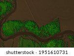 Digital elevation model of a forest area with a river. GIS product made by aerial mapping from a drone. Lidar scan and multispectral camera gives NDVI and NIR effect.