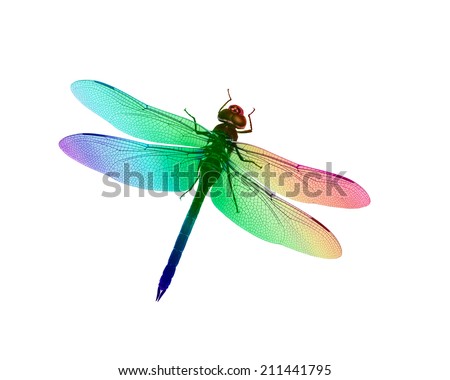 Digital illustration of a dragonfly with rainbow of colors. Created from an original photograph.