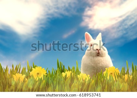 Similar – Easter Bunny comes around (2)