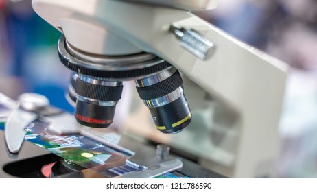Digital Microscope Camera 