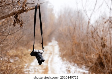 a digital mirrorless camera hangs on a tree branch in an autumn forest.