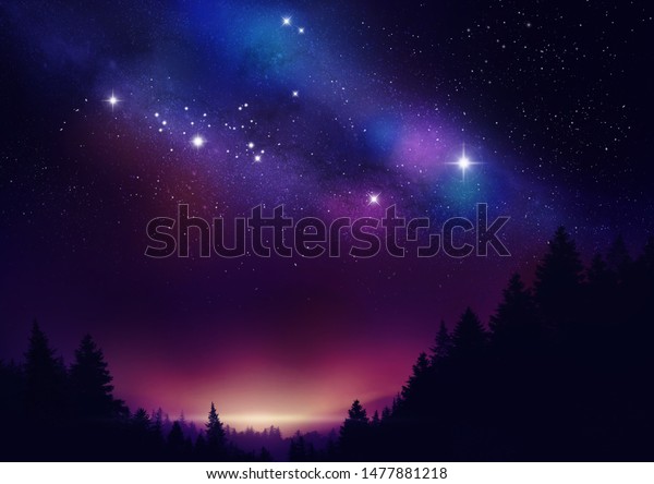 Trees forest night stars night natural landscape Vector Image