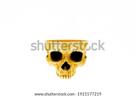 Digital photo collage a skull open at the top. Isolated on white. 