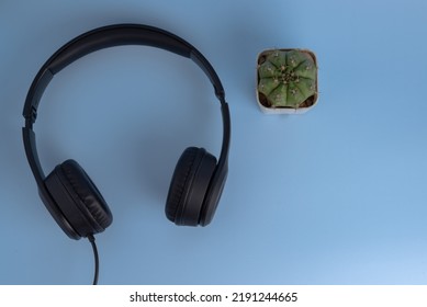 Digital Technology Music Entertainment Communication And Multimedia Broadcasting Earphones And Cactus On Background Top View.