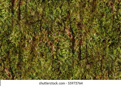 Moss Texture Seamless High Res Stock Images Shutterstock