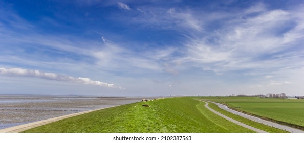 Dike At The Wadden Sea In Friesland, Netherlands