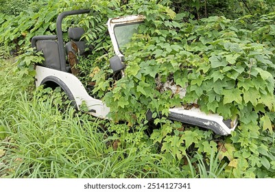 Dilapidated Abandoned White 4x4 SUV vehicle completely overgrown with lush vegetation, blending seamlessly into the natural surroundings. Vehicle's condition showcases the power of nature to reclaim - Powered by Shutterstock