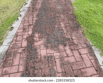 dilapidated or broken red brick path or trail