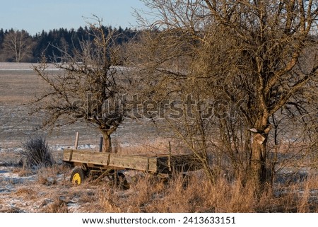 A dilapidated, crooked loading wagon stands in the middle of bare fruit trees in the winter morning sun. The weathered wood and crooked frame tell quiet stories of past harvests and quiet nostalgia.