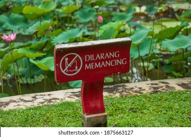 Memancing Images Stock Photos Vectors Shutterstock