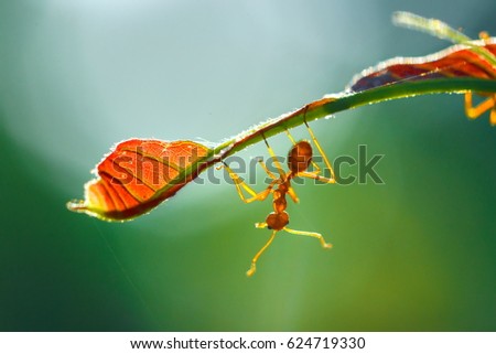 Similar – Image, Stock Photo time for togetherness