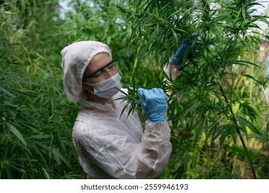 A diligent researcher carefully inspects cannabis plants while wearing protective gear for effective quality control - Powered by Shutterstock