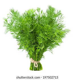 Dill Herb Closeup Isolated On White Background