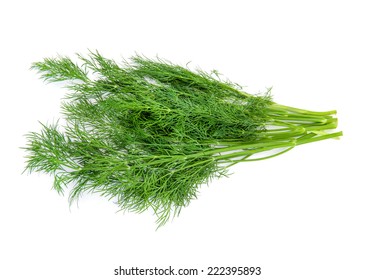 Dill Isolated On White