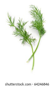 Dill Isolated On White