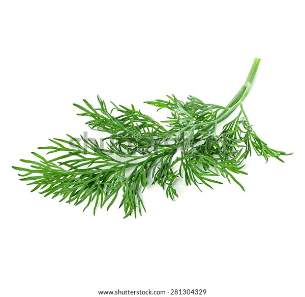 Dill Isolated On White Background Stock Photo (Edit Now) 281304329