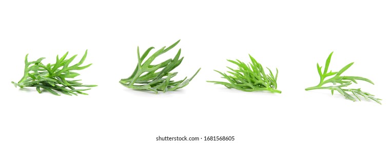 Dill Slices Isolated On White