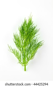 Dill Weed