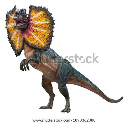 Dilophosaurus (Male) is a carnivore genus of theropod dinosaur that lived during the Early Jurassic, Dilophosaurus isolated on white background with a clipping path