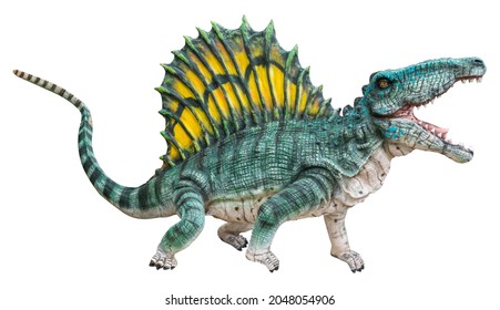 Dimetrodon is an extinct genus of non-mammalian synapsid that lived during the Cisuralian, Dimetrodon isolated on white background with clipping path
