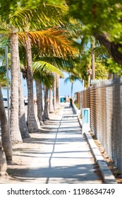 Diminishing Perspective Lines View Along Sidewalk, Street With Palm Trees On Sides, Fence In Center, Middle In Key West, Florida Near Beach