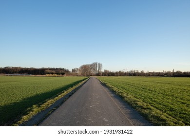 Diminishing Perspective View Of Tranquil Street Between Agricultural Field On Countryside Area In Germany Against Blue Sky. 