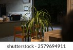 A dimly lit indoor space whit a plant in a decorative pot as the focal point. the plant has thin, drooping leaves and is positioned in the center of the frame. the lighting is dim