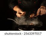 In a dimly lit kitchen, a skilled chef crafts delicious meatballs, skillfully seasoning them while steam rises from the pan. The focus on his precise movements showcases culinary artistry.