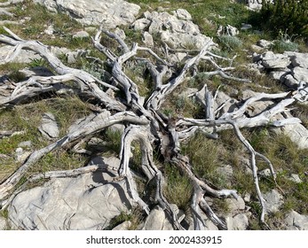 Dinara Mountain Landscape In Croatia