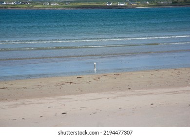 Dingle Way  Dingle Peninsula Ireland