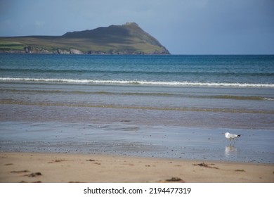 Dingle Way  Dingle Peninsula Ireland