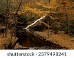 Dingmans Falls cascade down the mountain in Pennsylvania