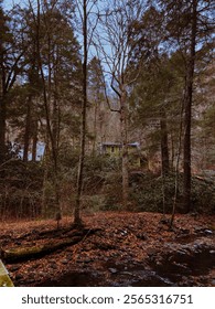 Dingmans falls in the fall
