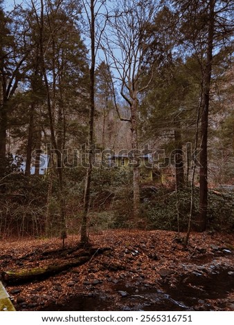 Dingmans falls in the fall
