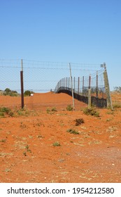 The Dingo Fence At Cameron Corner