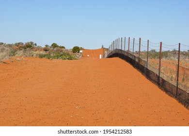 The Dingo Fence At Cameron Corner