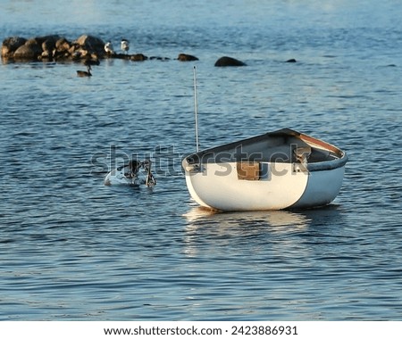 A dingy in a marina on a lake. 