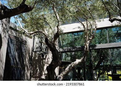 Dining Outside In A Winery Courtyard