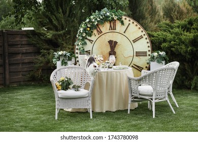 Dining Table For Two On The Lawn. Cat Jumping On The Table