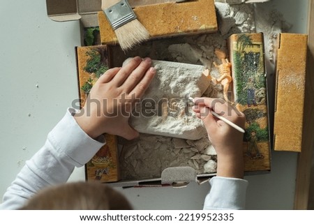 Dino excavation kit for a little kid. Girl playing popular table game. Flat lay. Overhead view of children's hands cleaning a piece of limestone in search of dinosaur skeletons