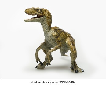 Dinosaur called velociraptor, on white background