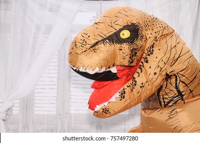 Dinosaur. Dinosaur Costume
