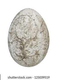 Dinosaur Egg