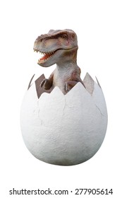 Dinosaur Egg