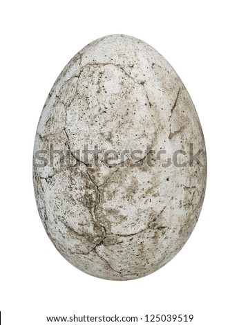 dinosaur egg