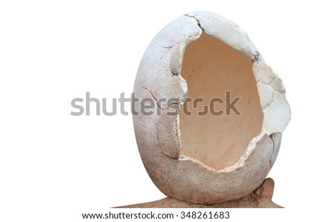 Dinosaur egg isolated on white background with clipping path