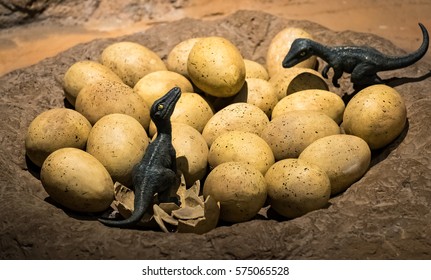 Dinosaur eggs real Have You