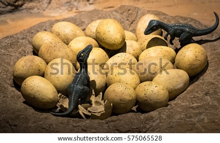 Dinosaur eggs with new born tyrannosaurus rex babies, prehistoric scene photo, children museum display