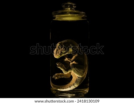 Dinosaur embryo in laboratory jar                               